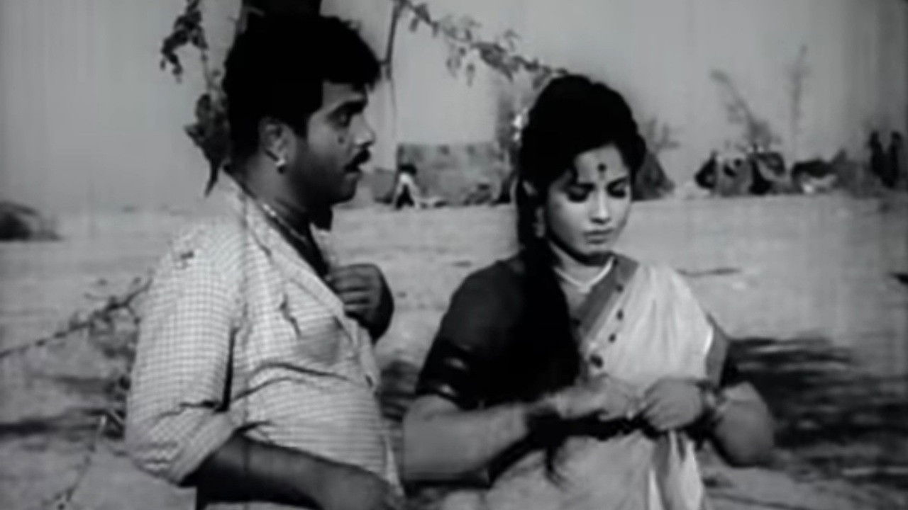 A Mountain Sparrow backdrop