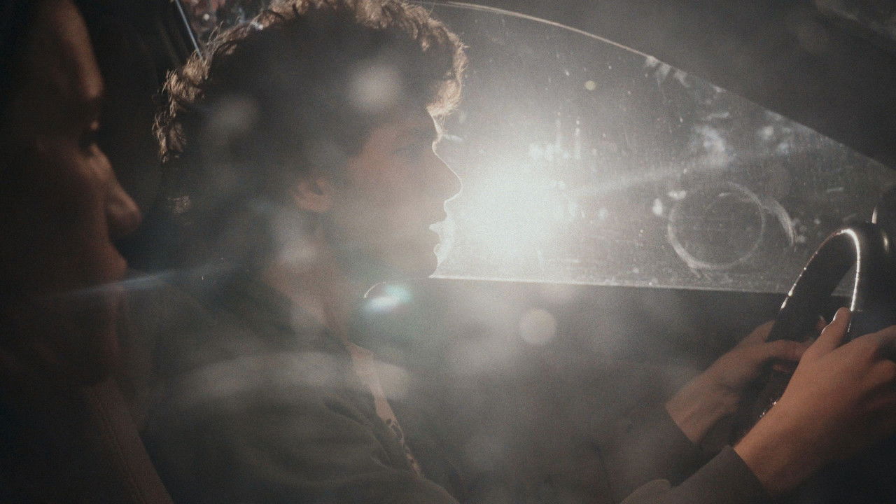 White Ladybug backdrop