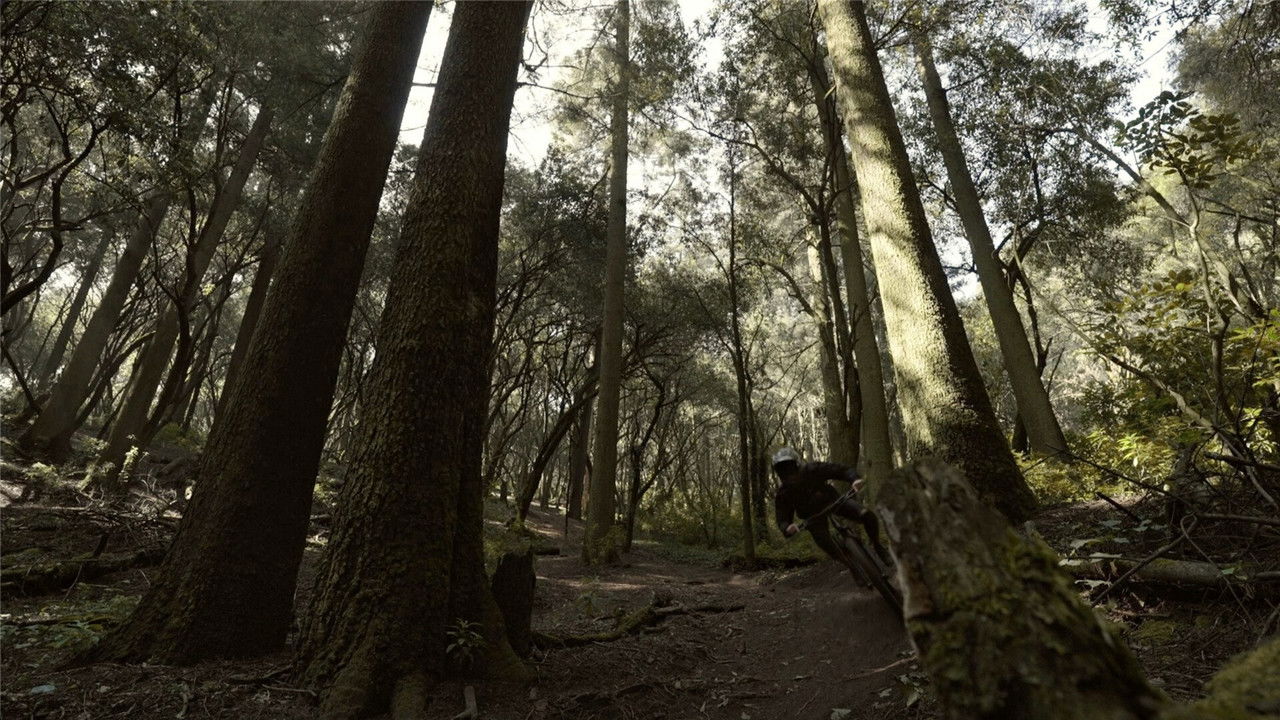 Sin Límites backdrop