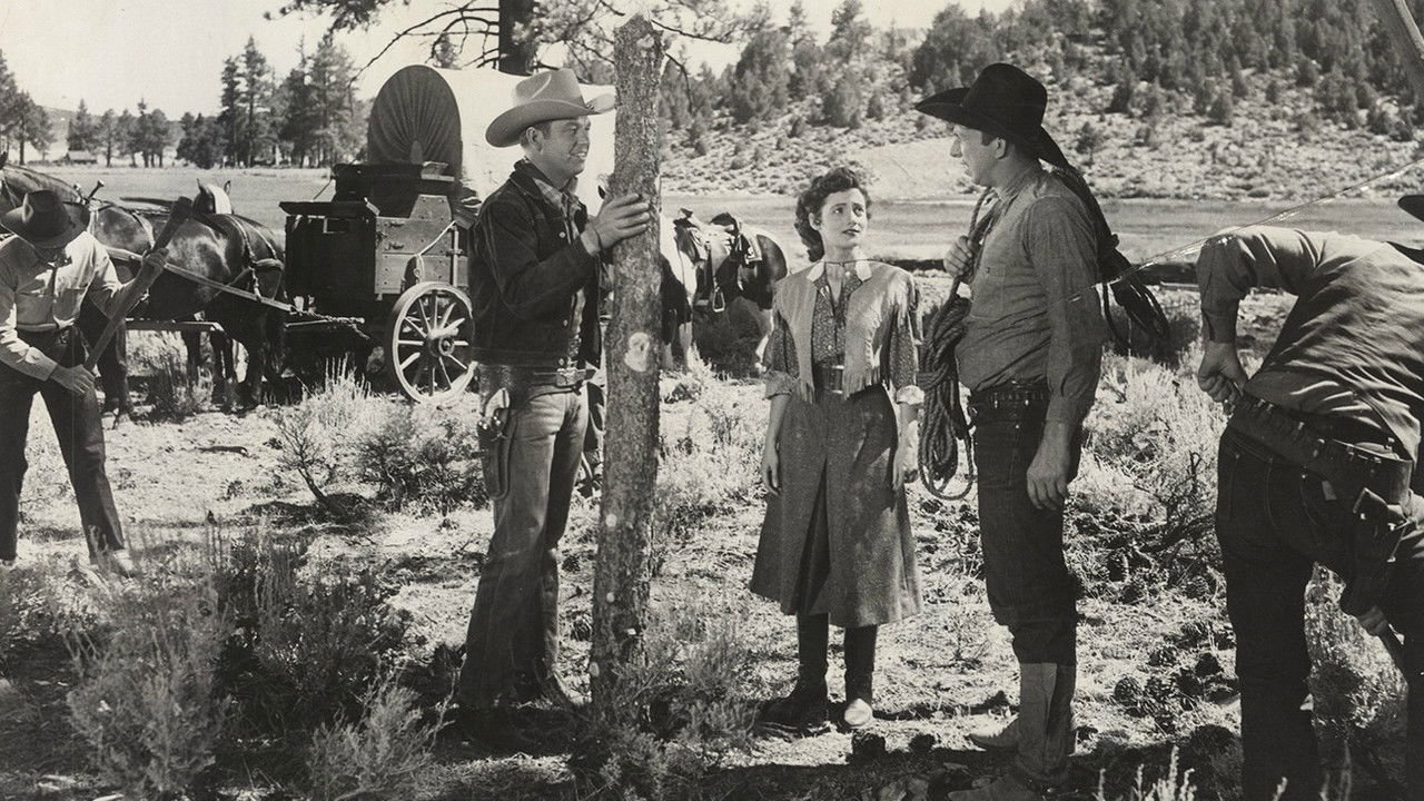 Colorado Sundown backdrop