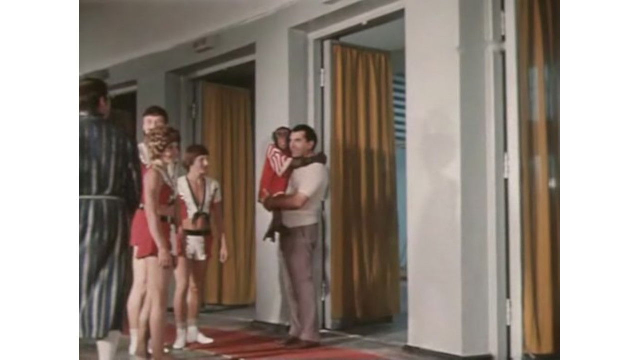 A Zebra Was Stolen backdrop