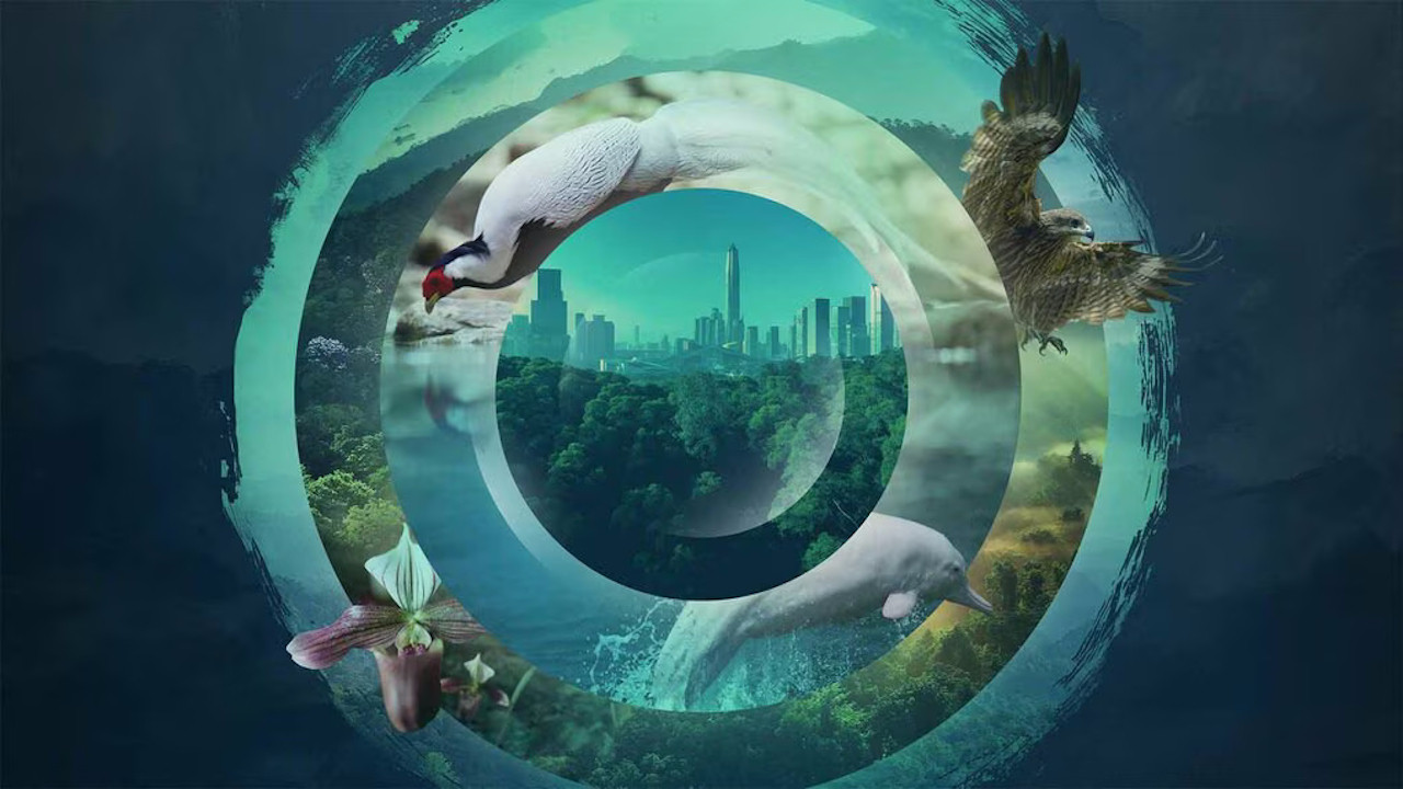 China's Wild Guangdong backdrop