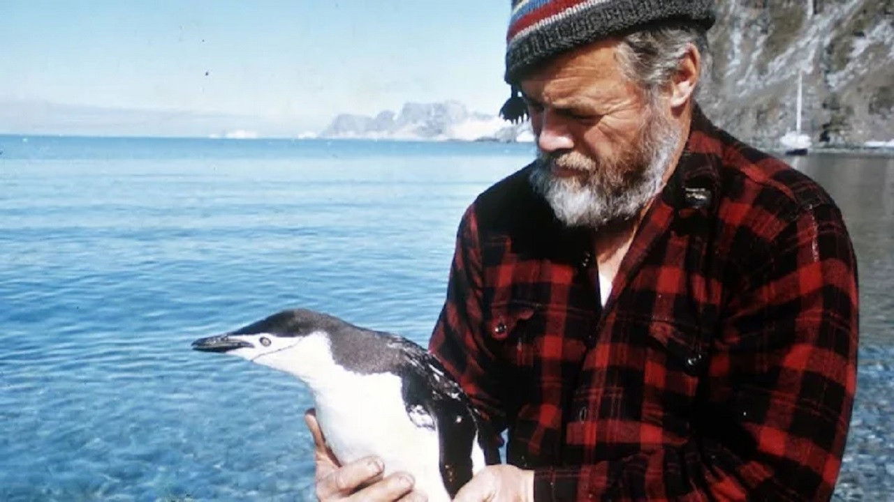 Following Seas backdrop