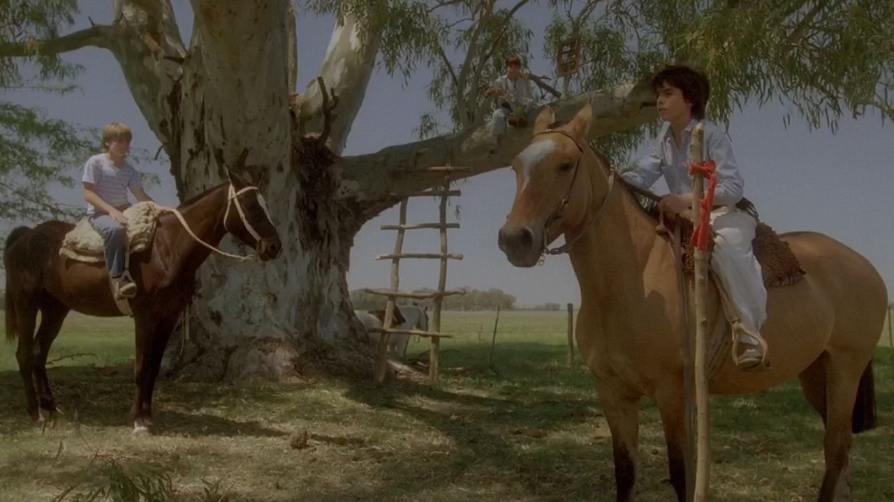 Summer of the Colt backdrop