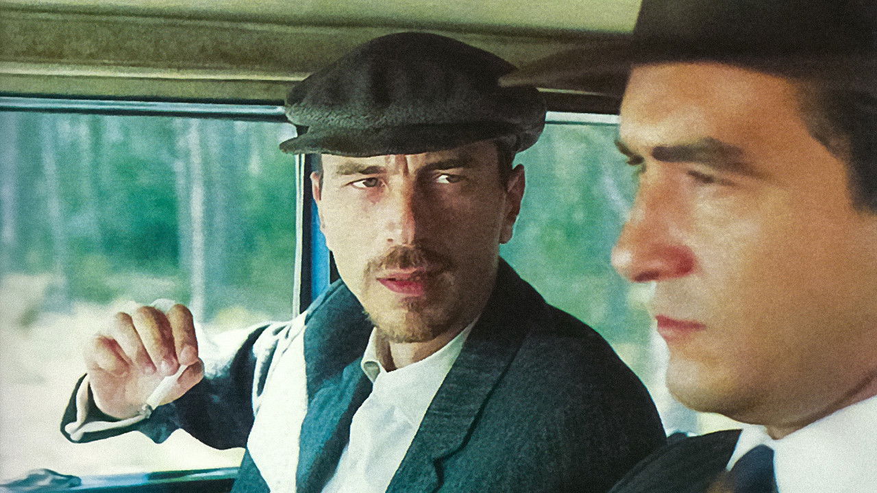 Sinais de Fogo backdrop