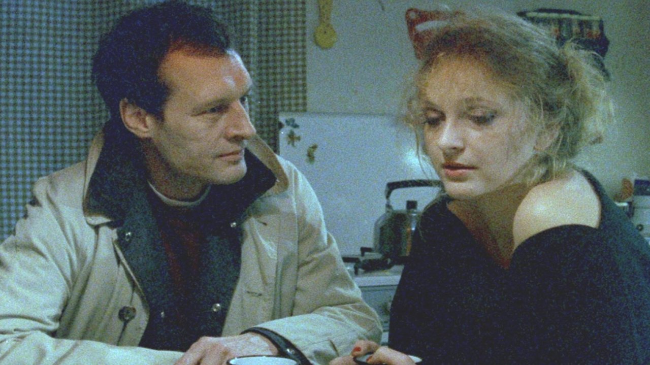 Brussels by Night backdrop