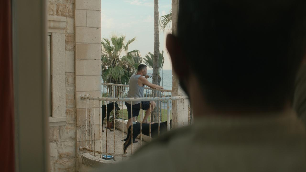 Mediterranean Fever backdrop