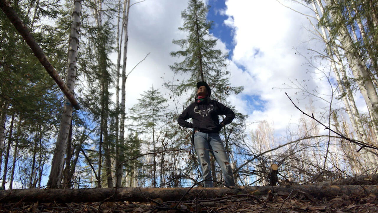 K'i Tah Amongst the Birch backdrop