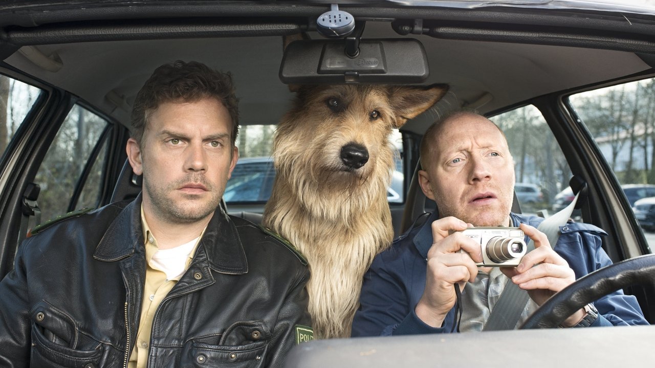 The Dumpling Affair backdrop