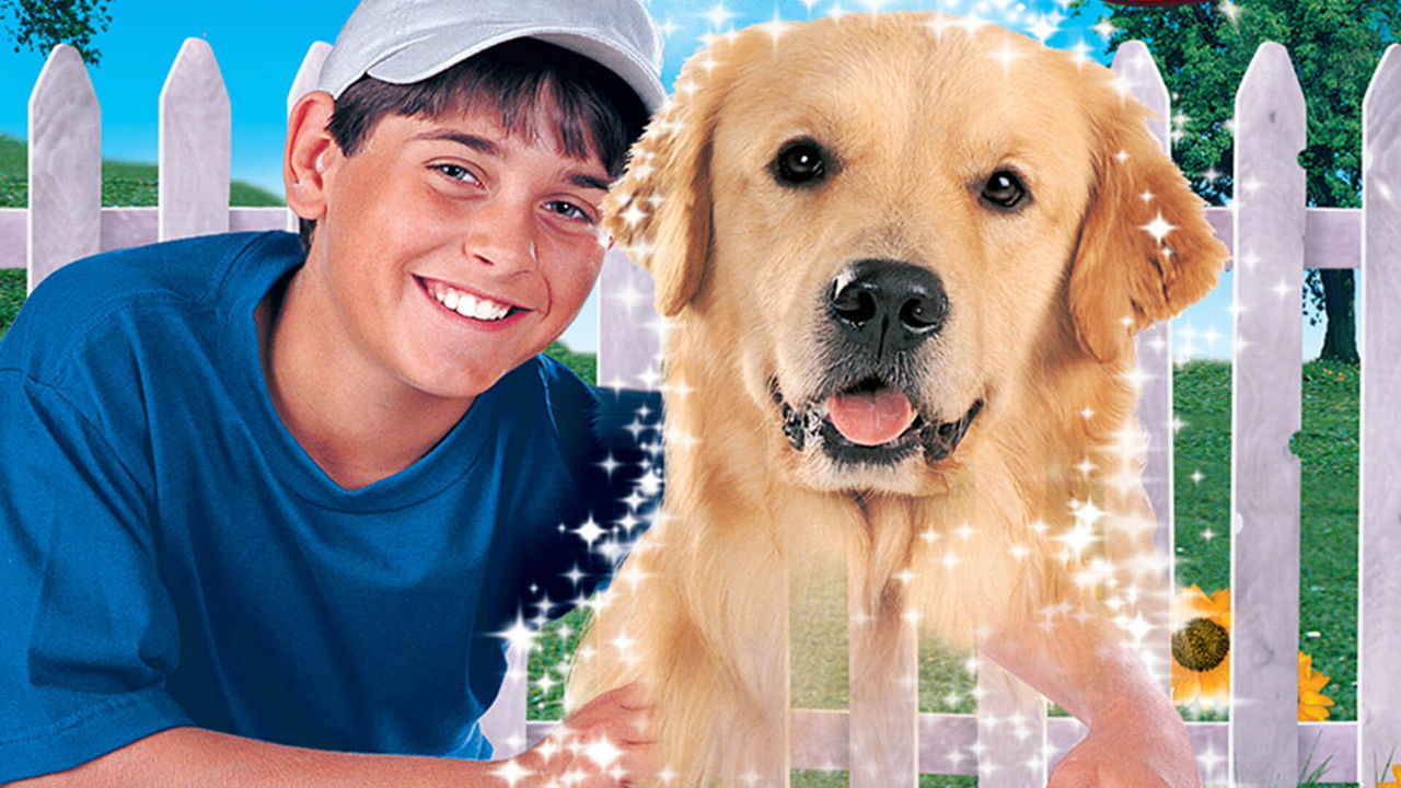 My Ghost Dog backdrop