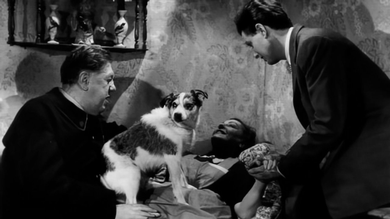 The Impossible Mr. Pipelet backdrop