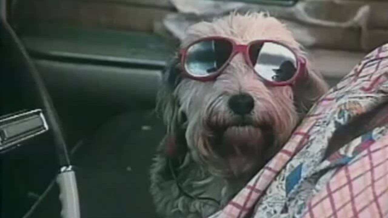 Nerds of a Feather backdrop