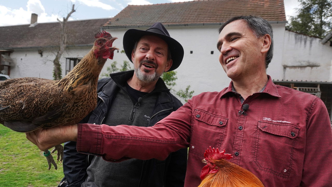 Co Čech, to chovatel backdrop