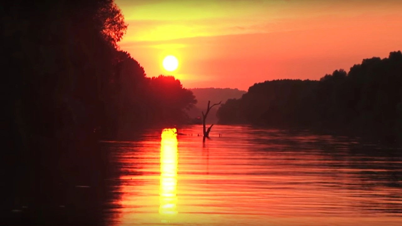 Blue Sava Dreams backdrop