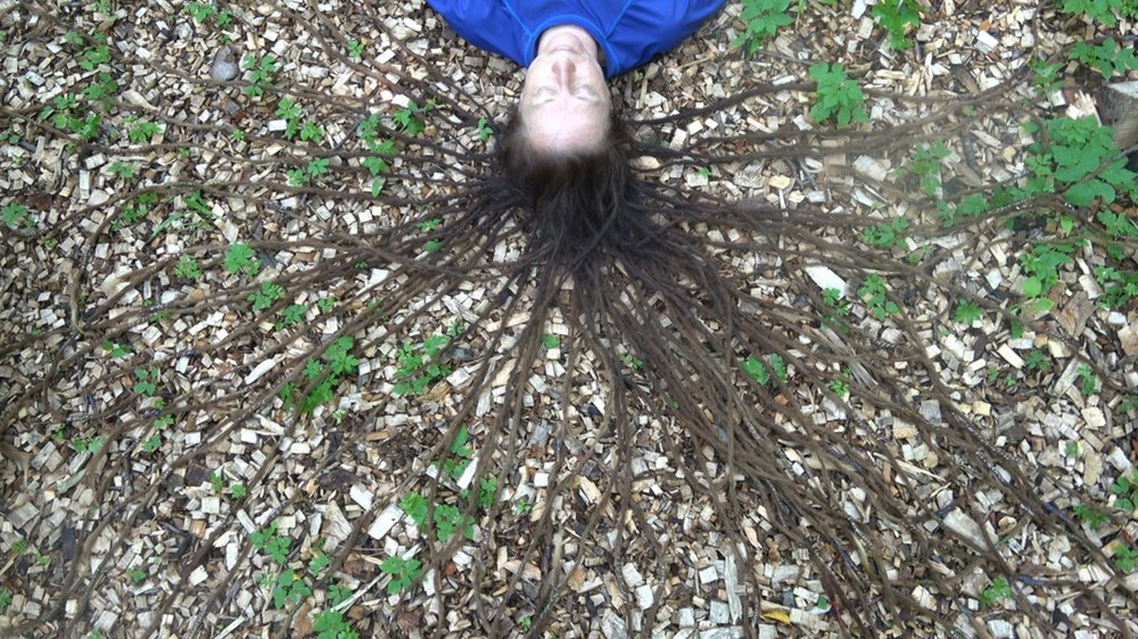 Crocodile Eyes backdrop