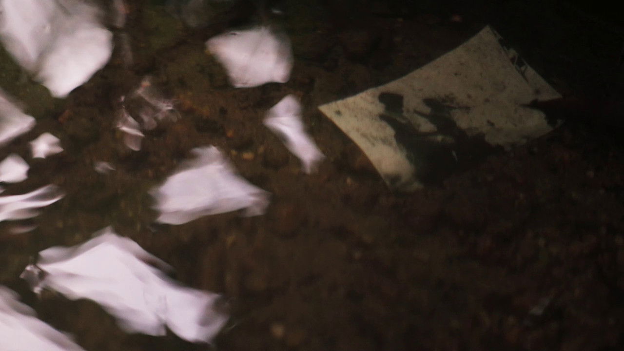 Mañana Sí backdrop