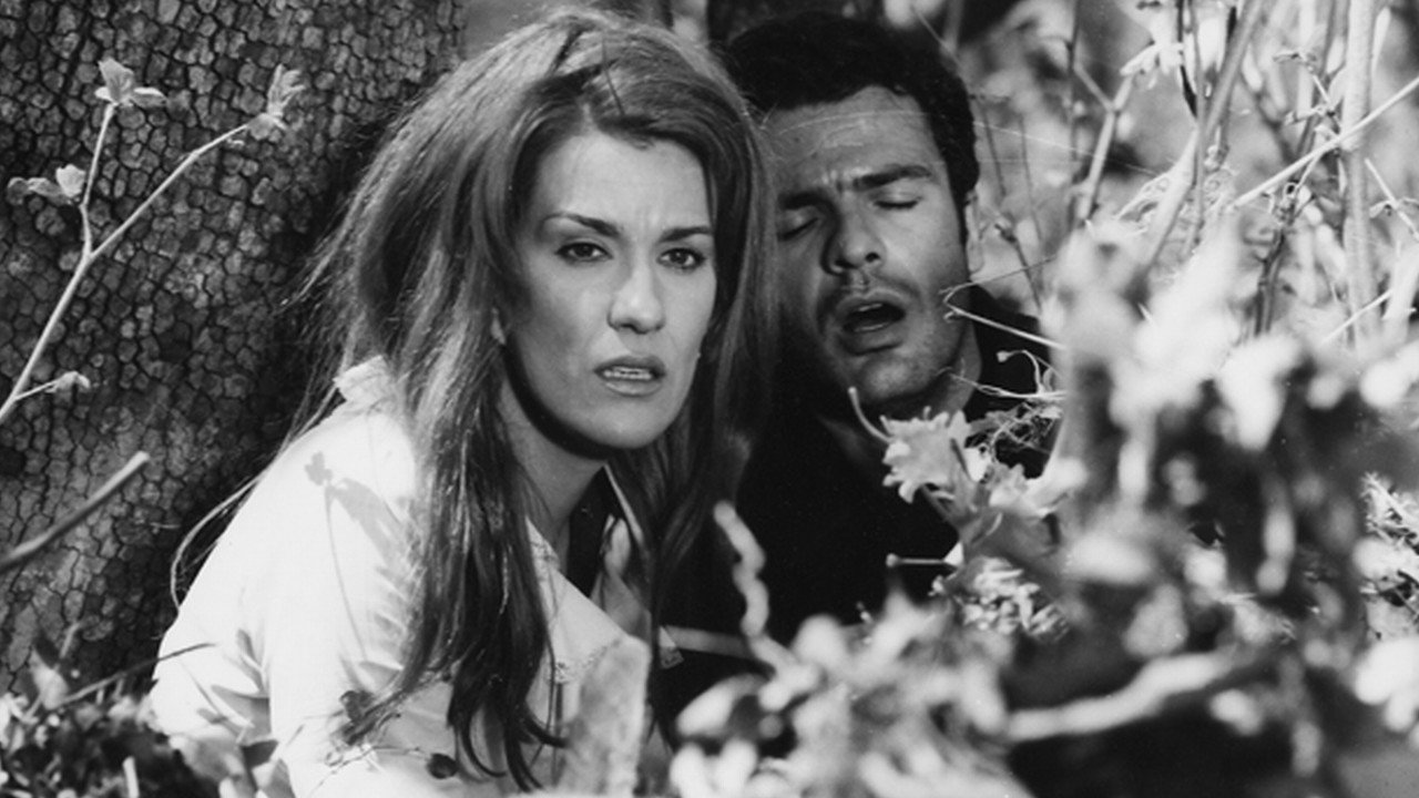 Bread for a Fugitive backdrop