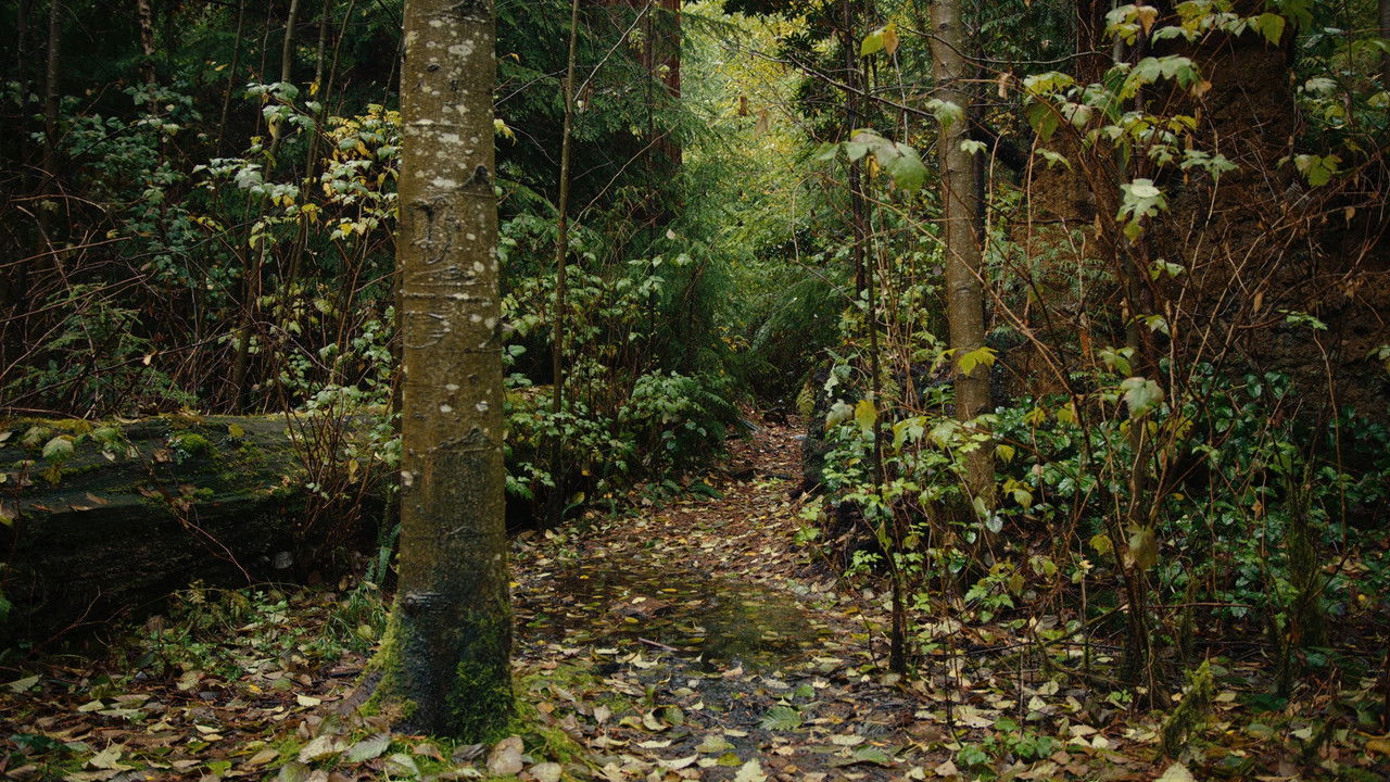 My Thoughts Exactly backdrop