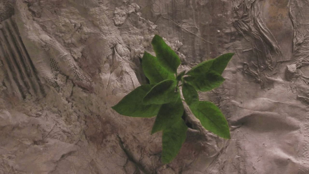 o.micron O.mega (Tiny to Great) backdrop