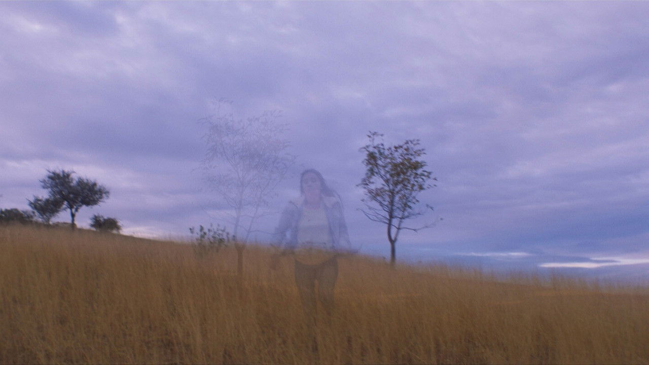 Bring Back The Tiger backdrop