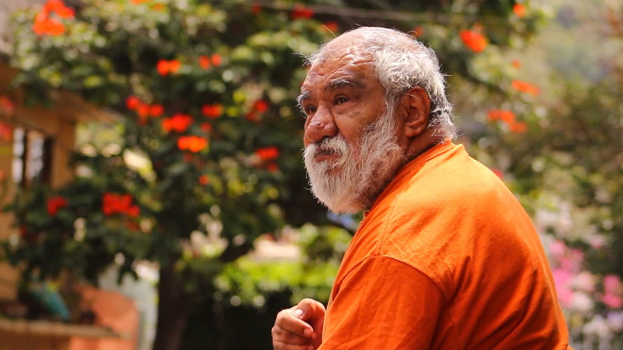 La pared del Don backdrop