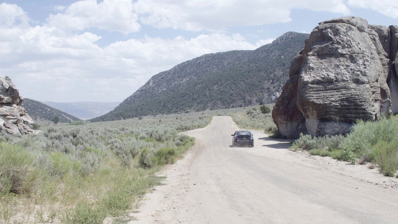 All That You Love Will Be Carried Away backdrop