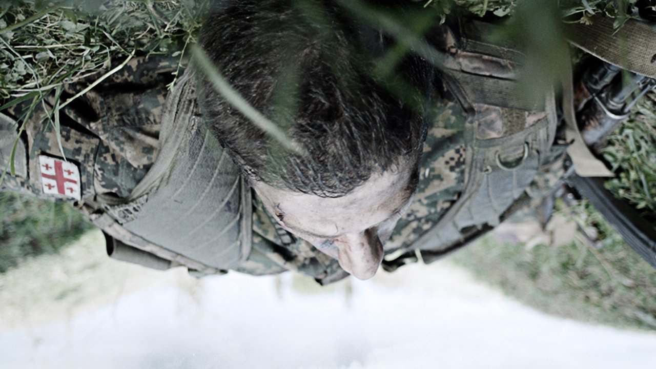 Safe Corridor backdrop