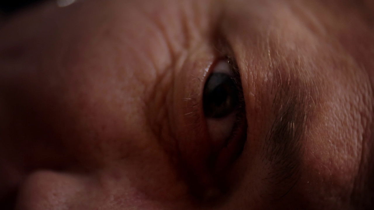 Les explorations backdrop