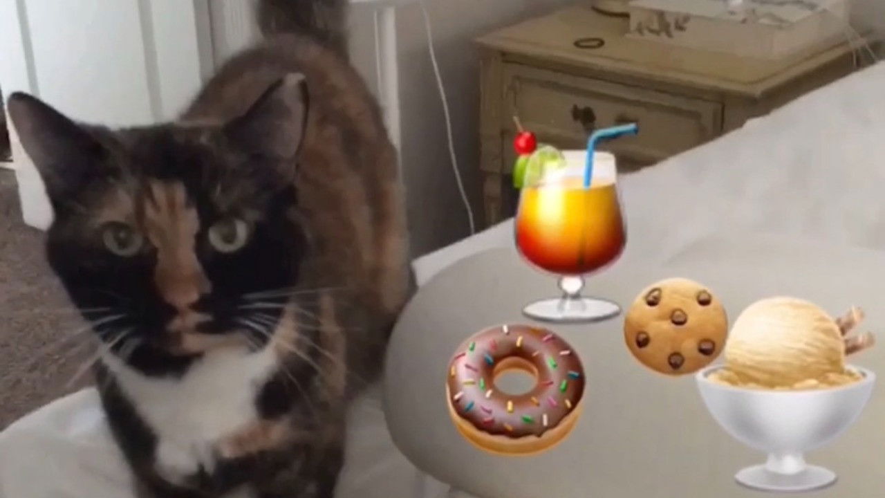 The Adventures of Murphy the Cat #7 backdrop