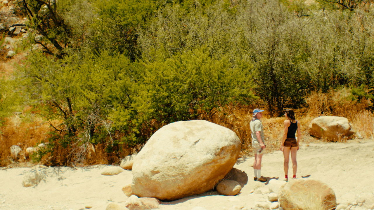 The Hedonist backdrop