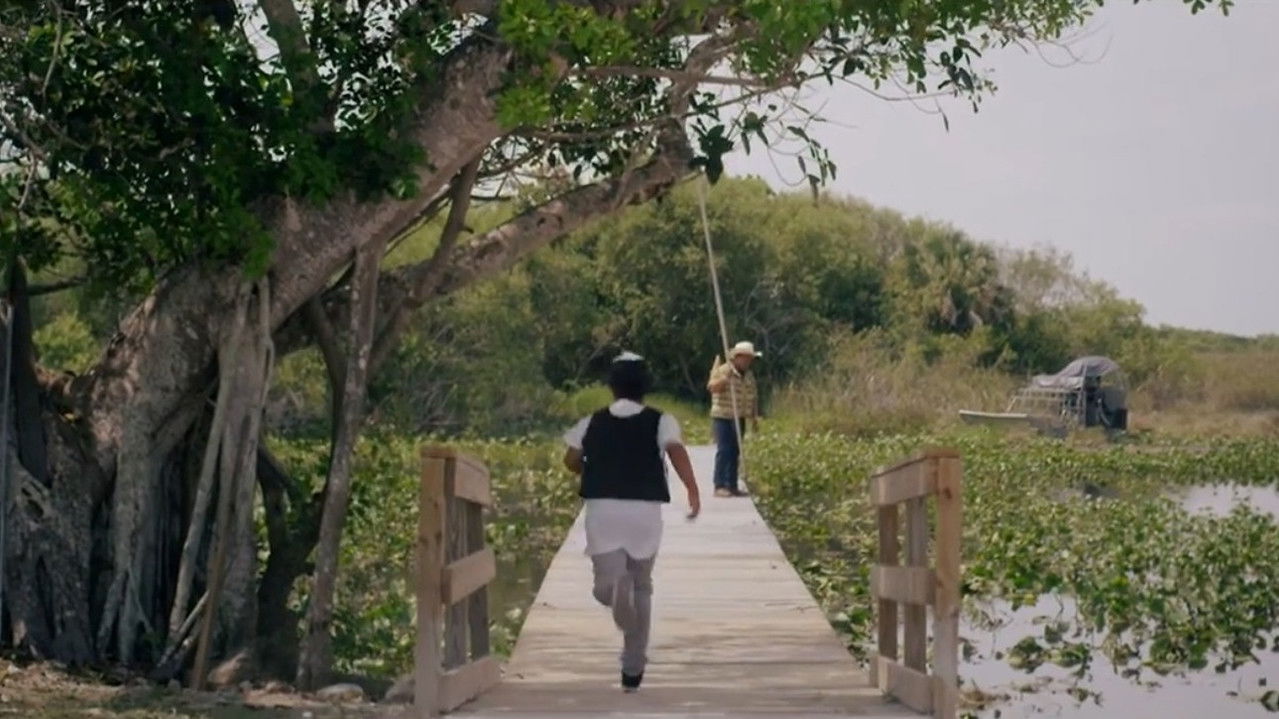 So We May Grow backdrop