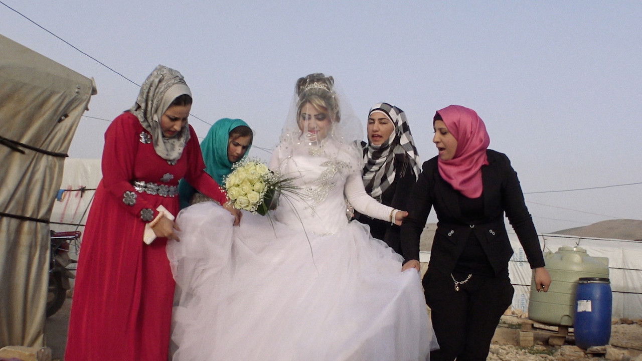 The Long Season backdrop