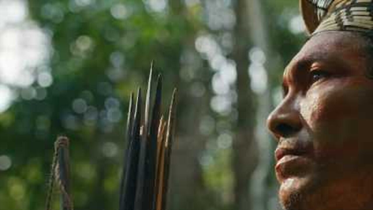 Biocentrics backdrop