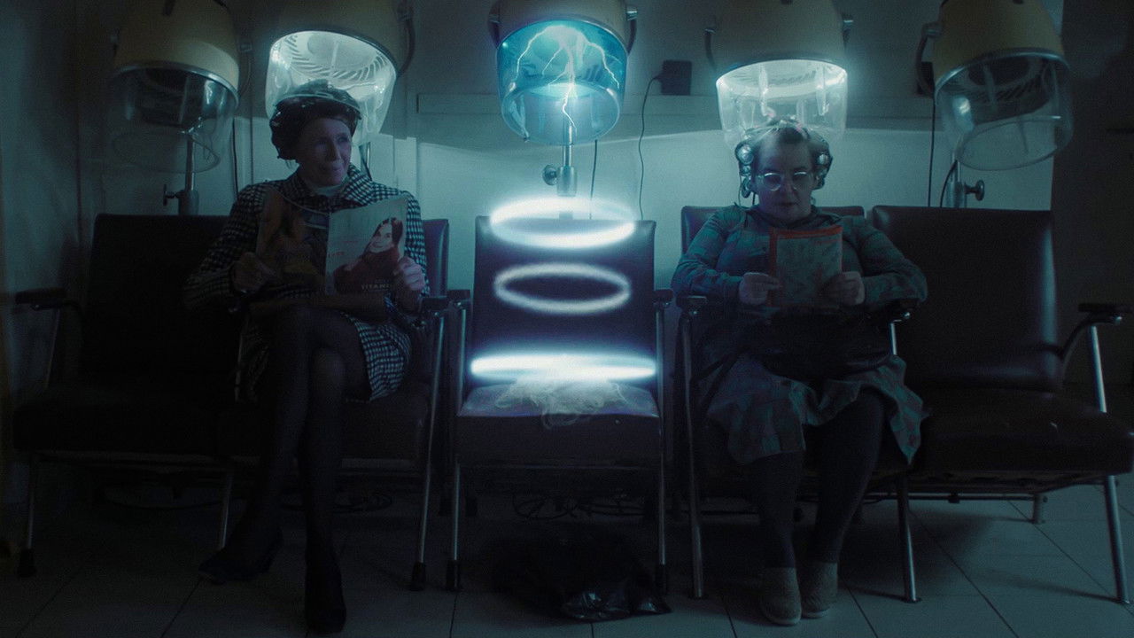 Scruffy Co. backdrop