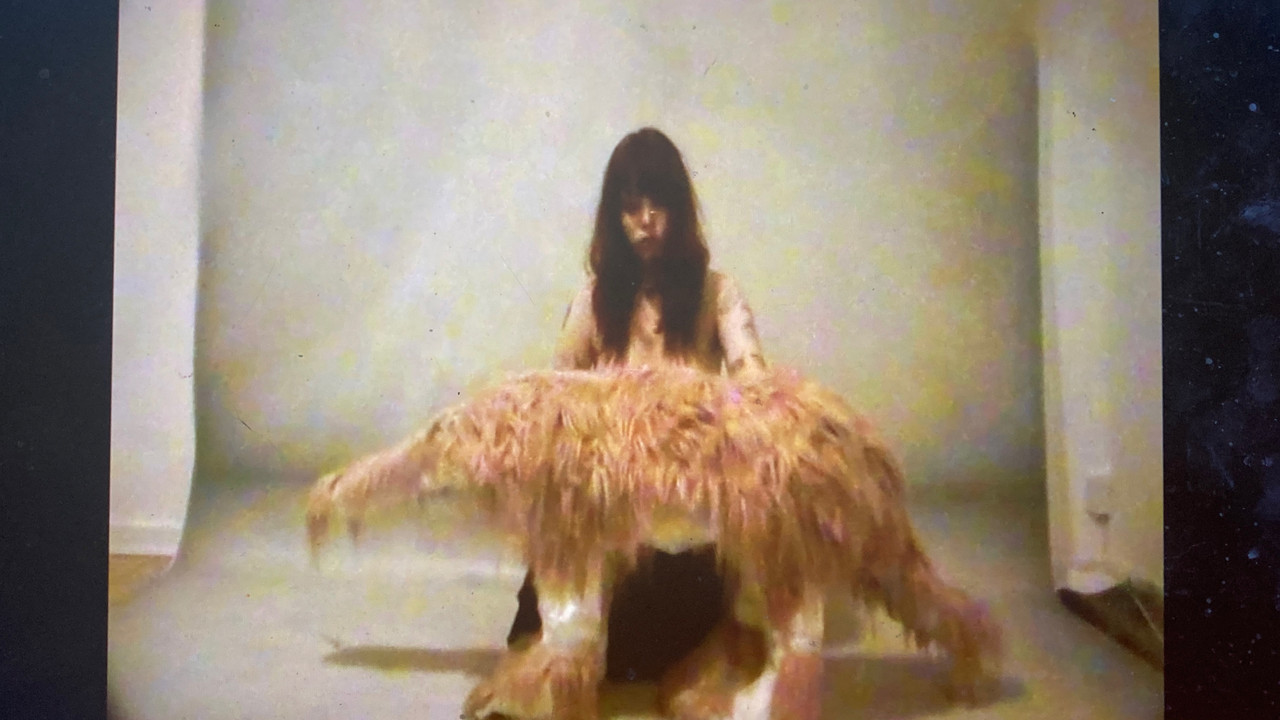 Stella Mosefund backdrop