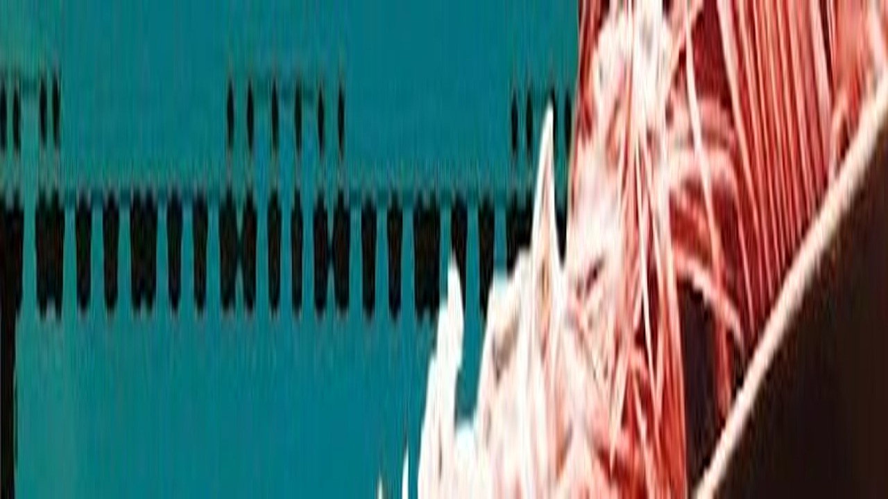 Building Versailles: A King’s Obsession For Magnificence | Rise & Fall Of Versailles | Real Royalty backdrop