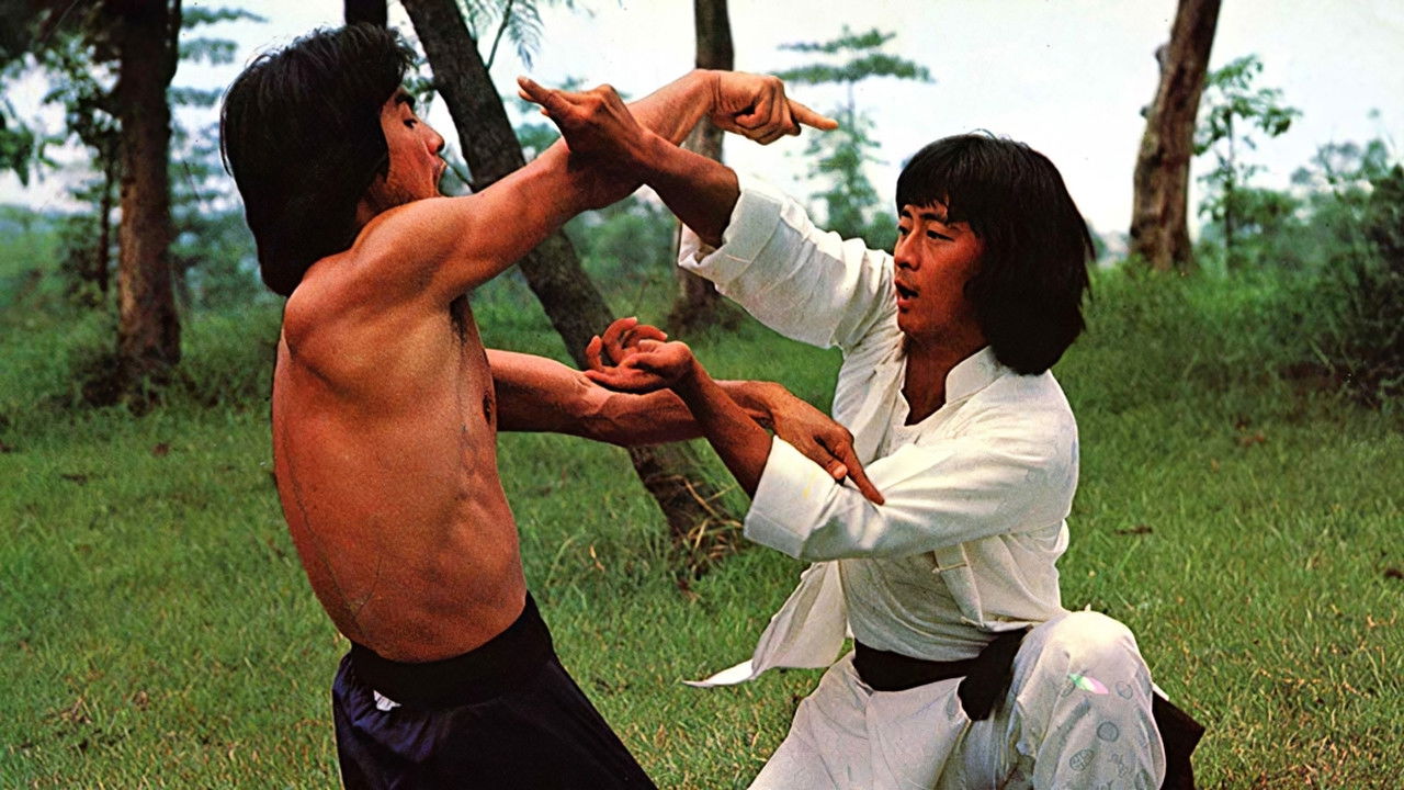 Drunken Arts and Crippled Fist backdrop