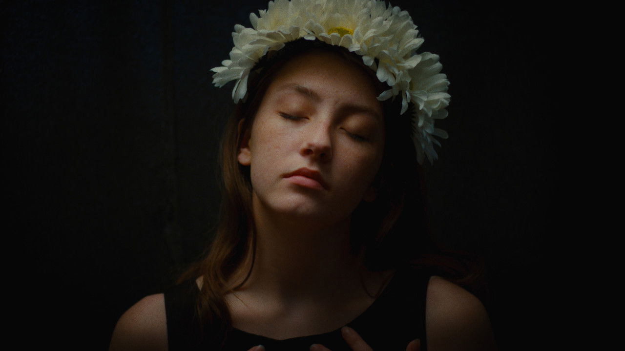 No Need for a Canvas backdrop