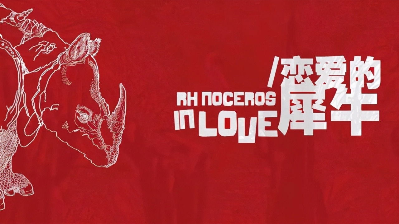 Rhinoceros in Love backdrop