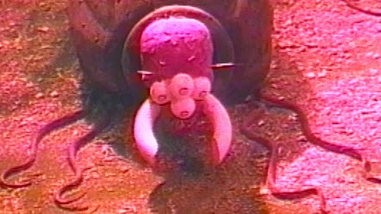 Night Crawlers backdrop