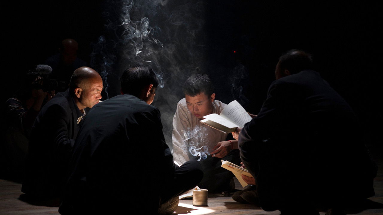 Ants Dynamics backdrop