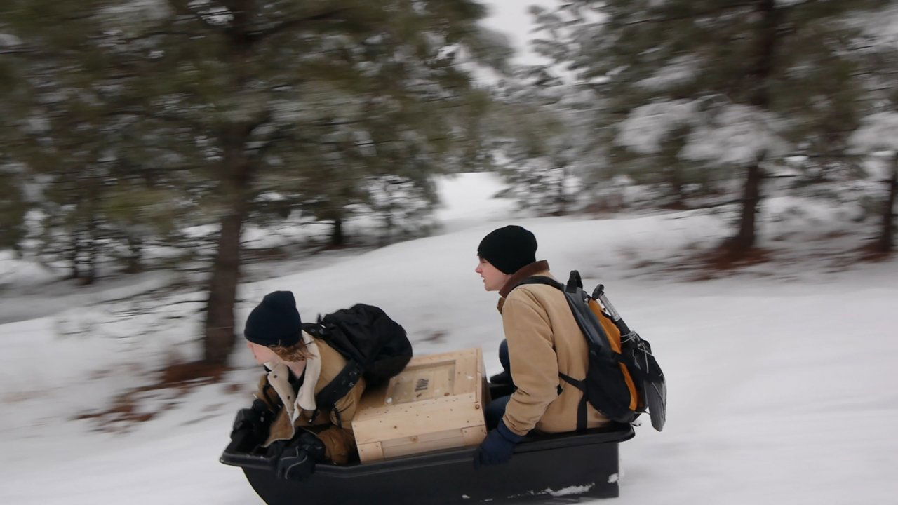 Treasure State backdrop