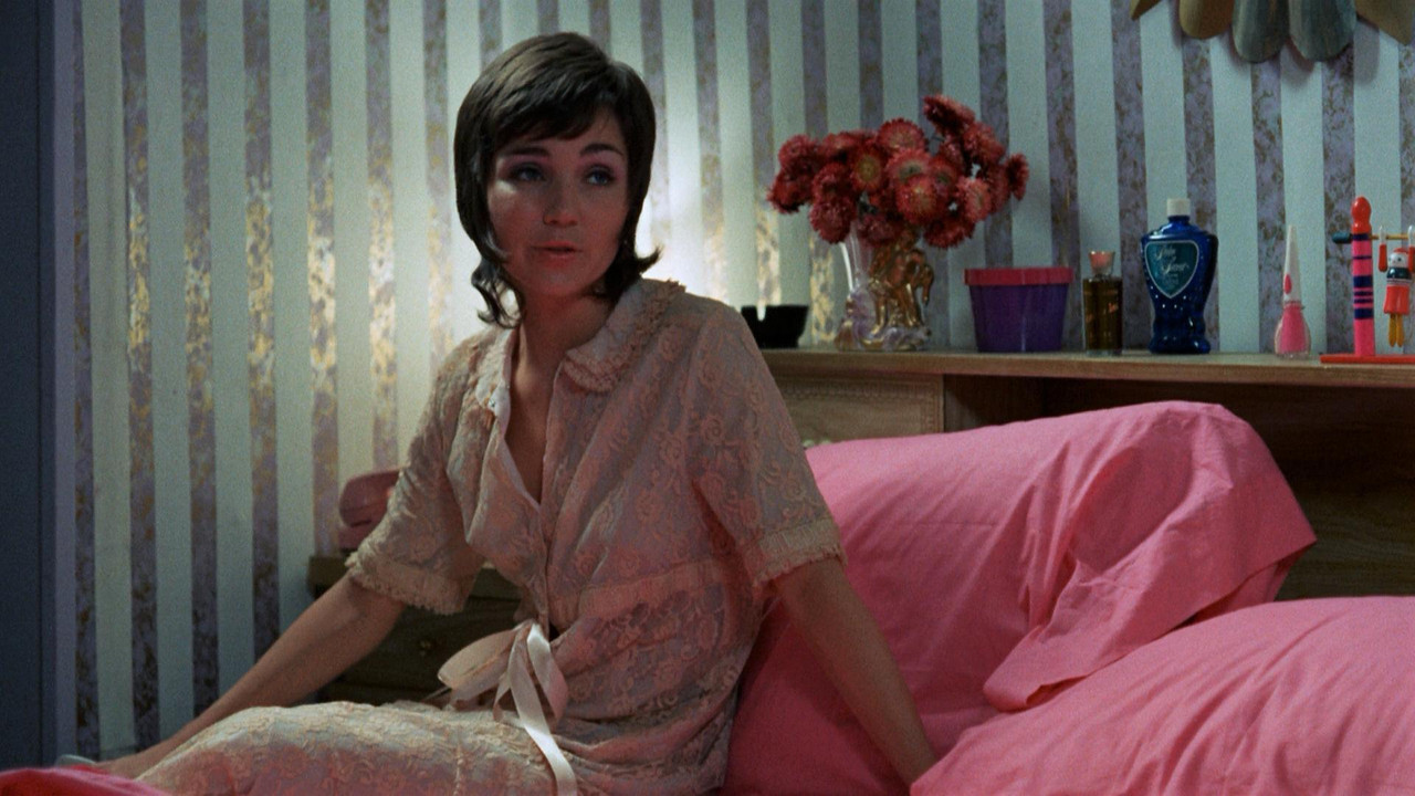 Toys Are Not for Children backdrop