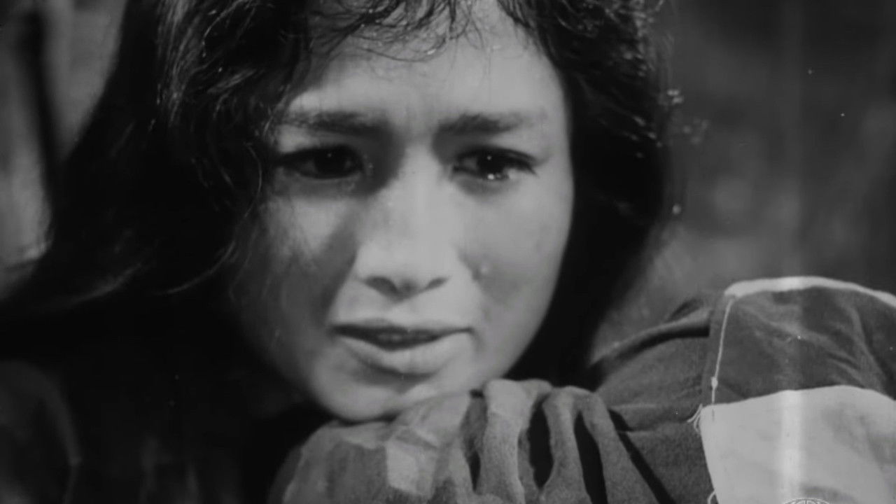 17th Parallel, Nights and Days backdrop