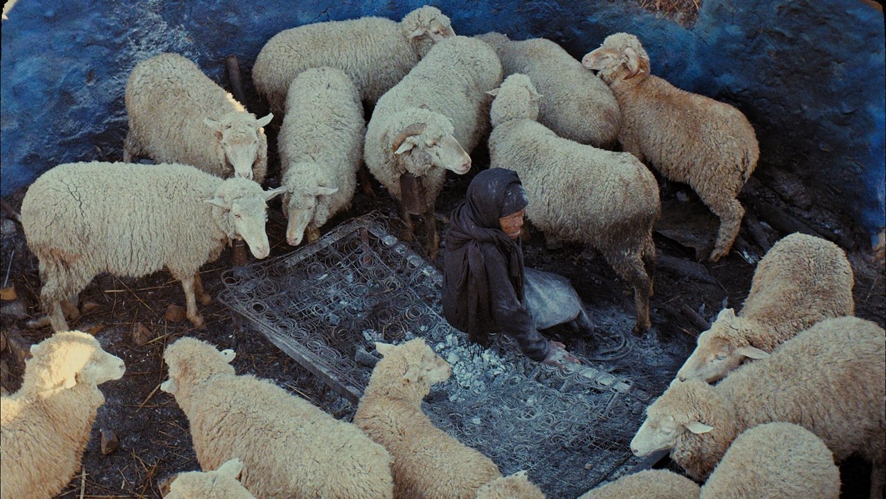 This Is Not a Burial, It's a Resurrection backdrop