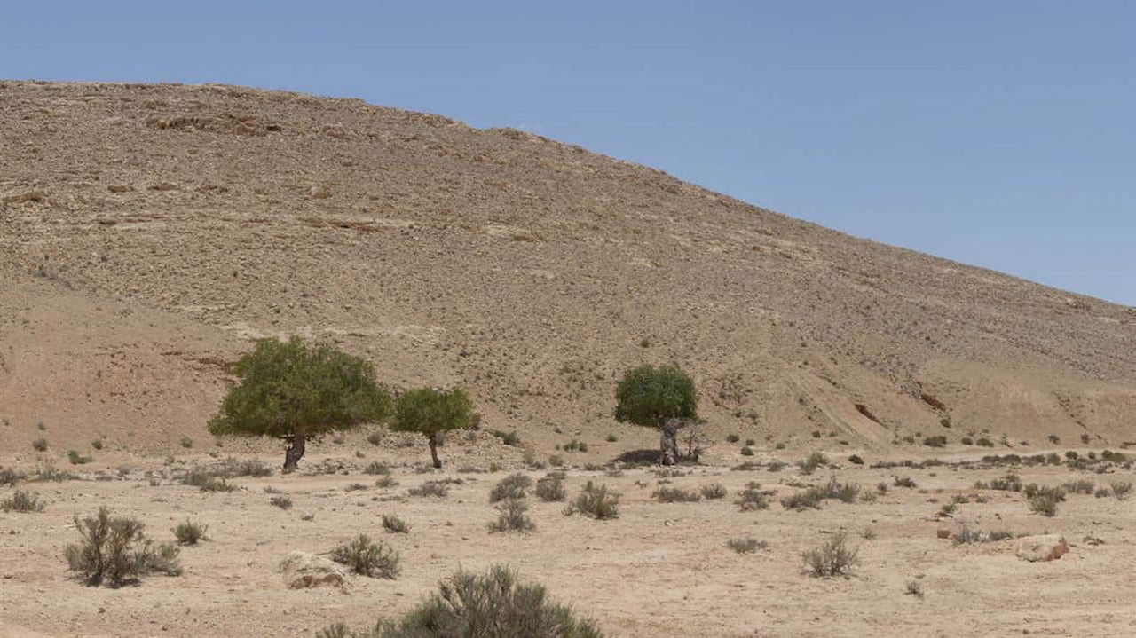 Announcements backdrop