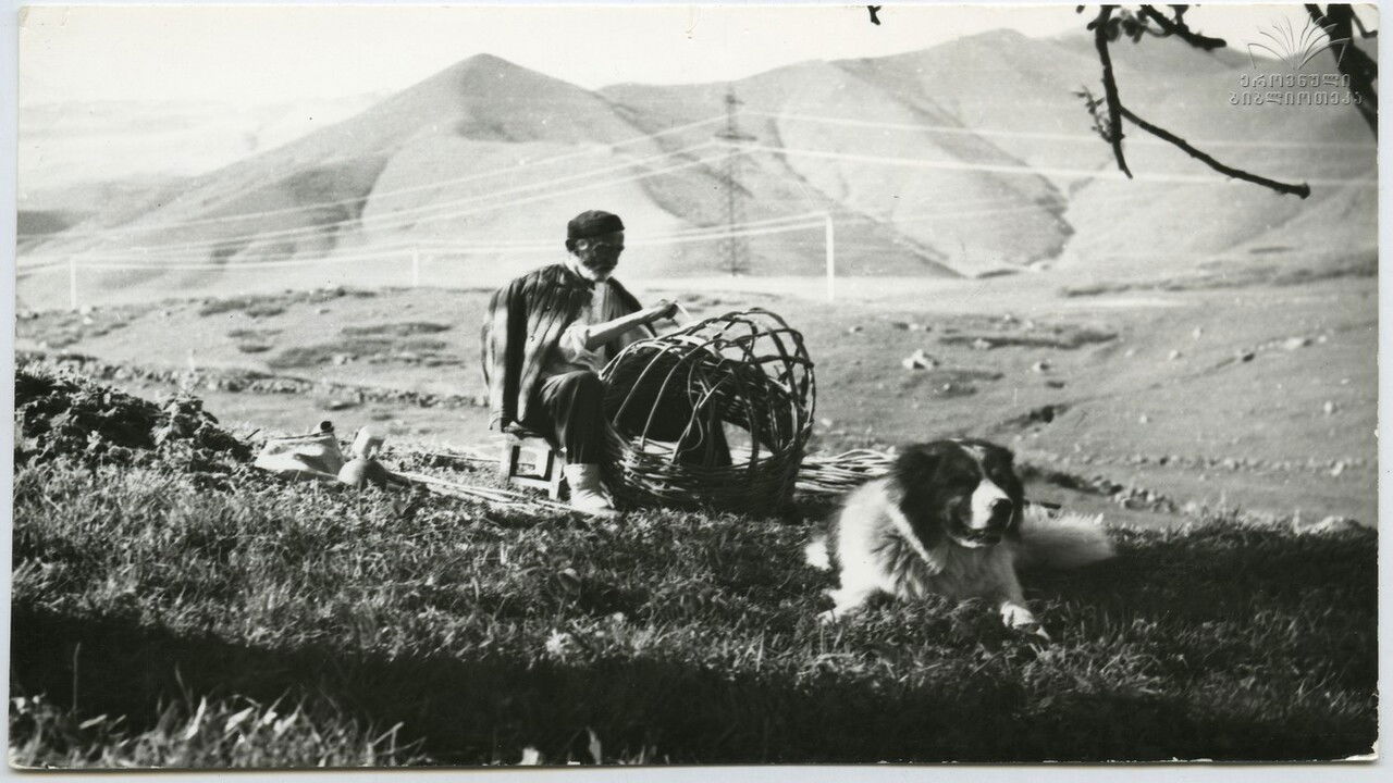 Loma, The Forgotten Friend backdrop