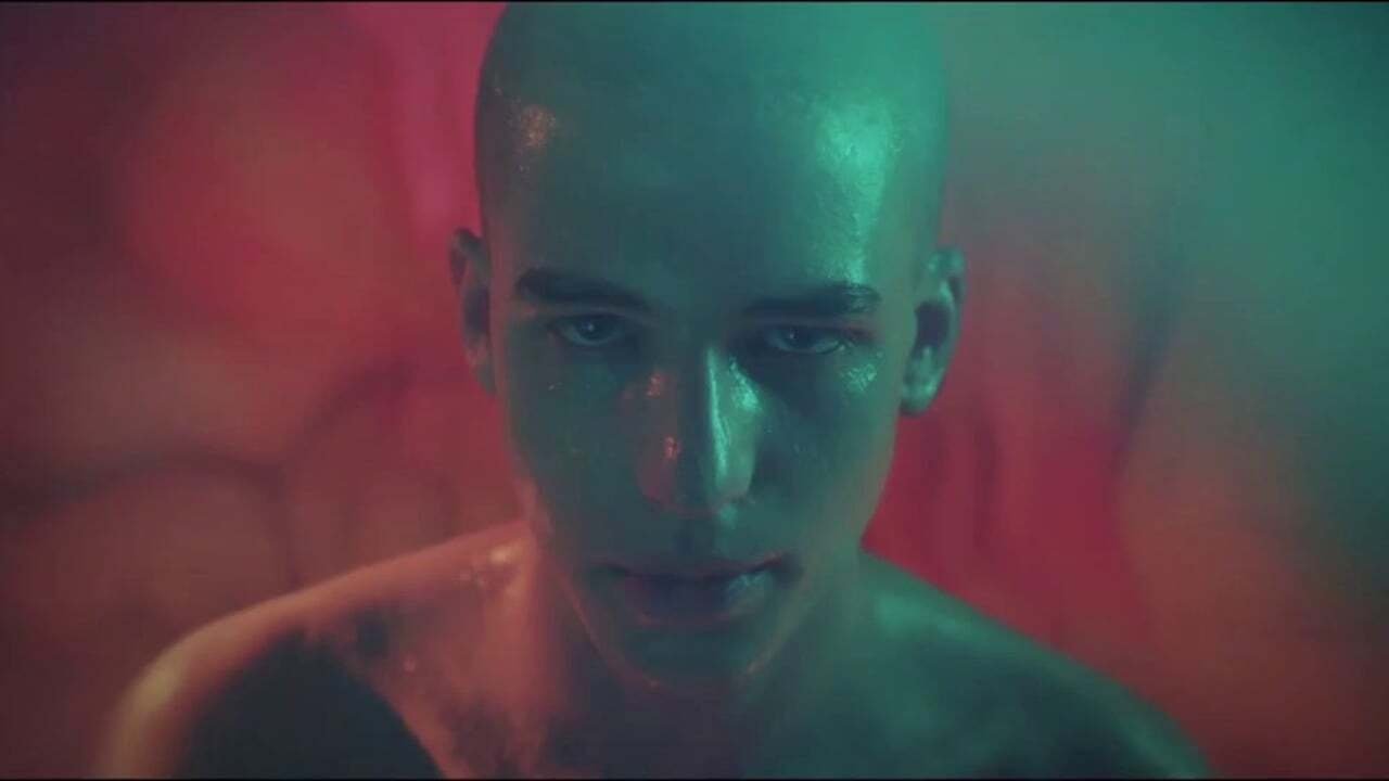 Heal, Goose backdrop