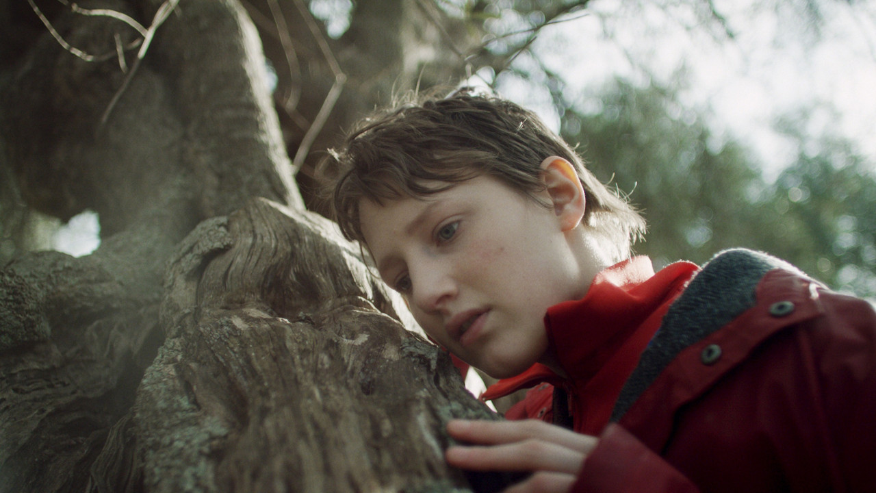 Sow the Wind backdrop