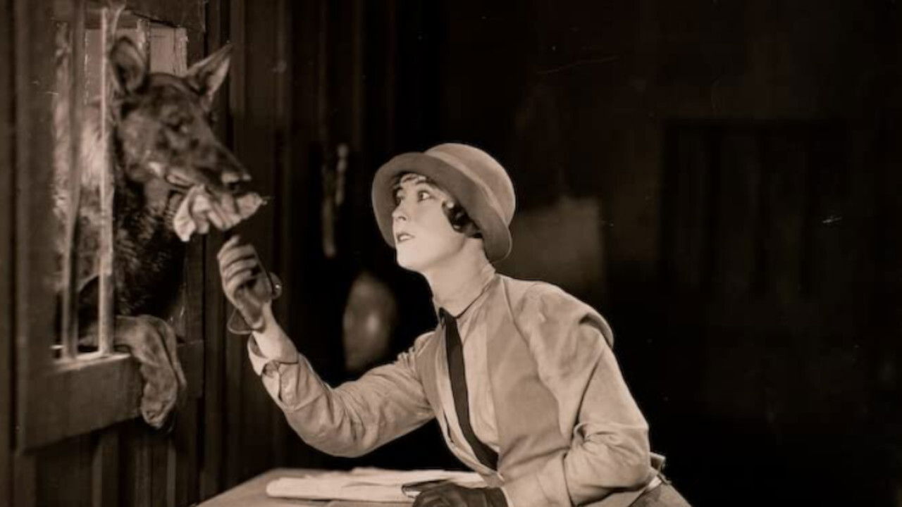 The Four-Footed Ranger backdrop